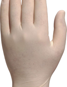 VENICLEAN V1340 Food-Grade Gloves